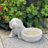 Dog with drinking bowl
